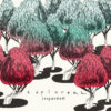 Explorers (expanded)