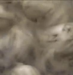 SPX 2017 EXHIBITOR REGISTRATION – THE TABLE LOTTERY!