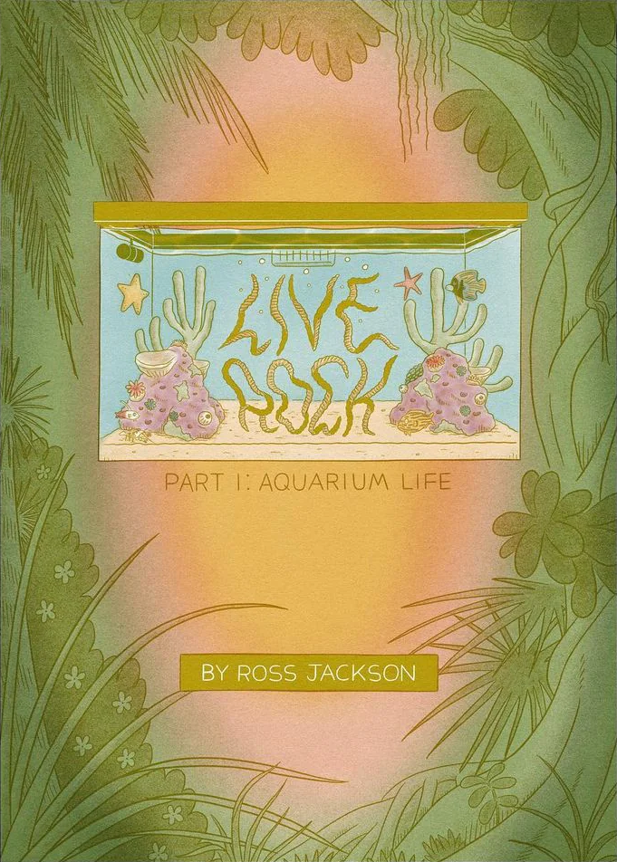 Live Rock Part 1: Aquarium Life